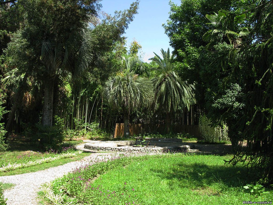 Сухумский Ботанический сад Абхазия